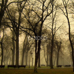 by Tatjana Koljensic - City,  Street & Park City Parks