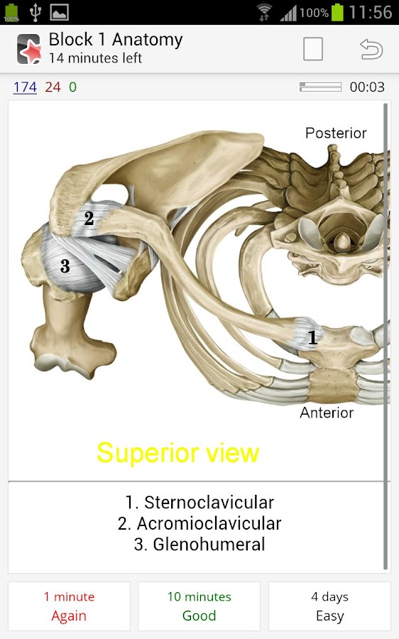 AnkiDroid Flashcards Android Apps on Google Play