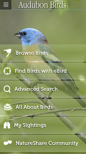 Audubon Birds Pro