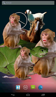 AnimalOnScreen Screenshots 1