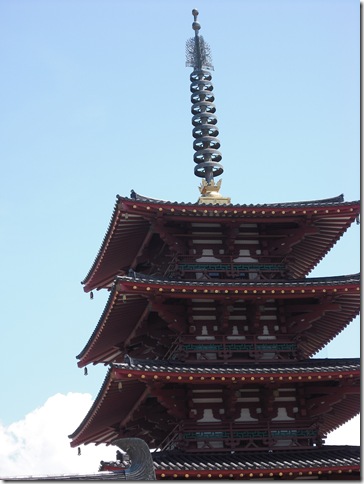 DSCF9503