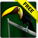 Tucan live wallpaper Free APK