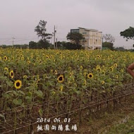 桃園向陽農場