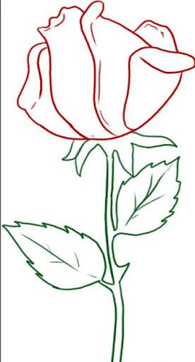 【免費程式庫與試用程式App】Drawing Flowers And Roses-APP點子