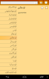 English Sorani Kurdish Dict poster 12