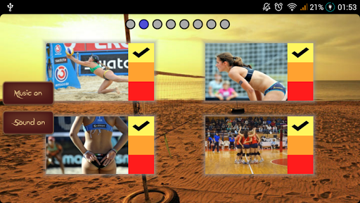 Volleyball Puzzle