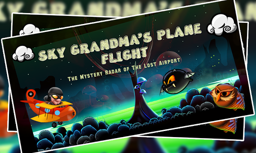 Sky Grandma's Plane Flight