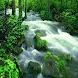 River in British Columbia