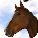 Horse Soundboard logo