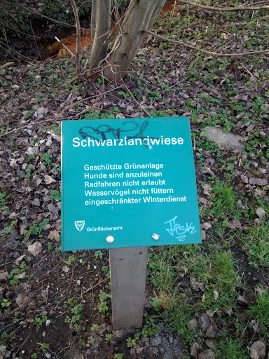 Schwarzlandwiese