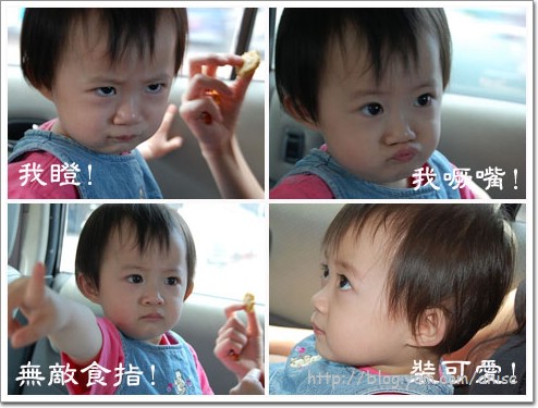 活魚桐花之旅(上) 虹橋活魚湘菜餐廳