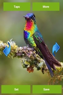 How to install Birds Wallpapers 2.0.0 mod apk for android