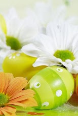 ���������� ����