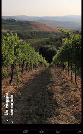 Amelia - Umbria Musei poster 13