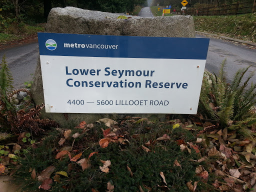 Lower Seymour Conservation Reserve