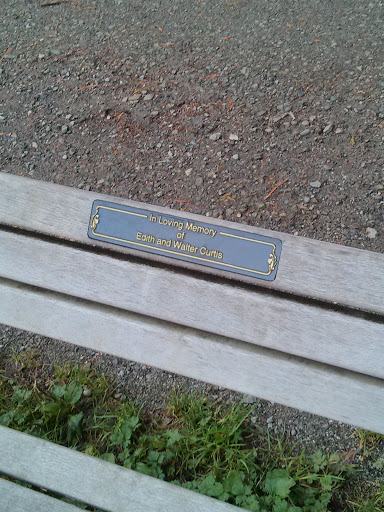 Curtis' Memorial Bench