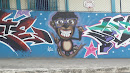 Grafite Macaco Louco