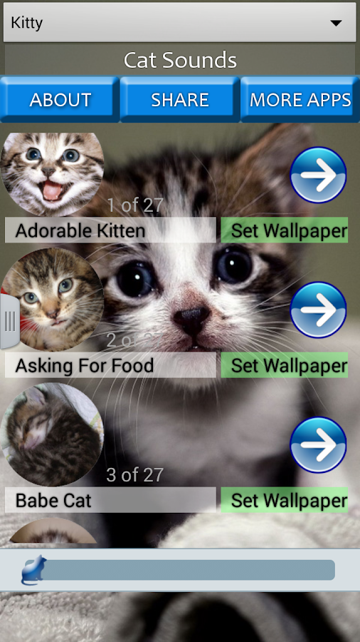 kedi sesleri ve görüntüleri Google Play�de Android Uygulamaları