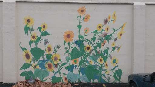Sunflower Mural