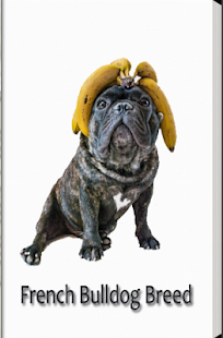 Download French bulldog Breed APK for Android