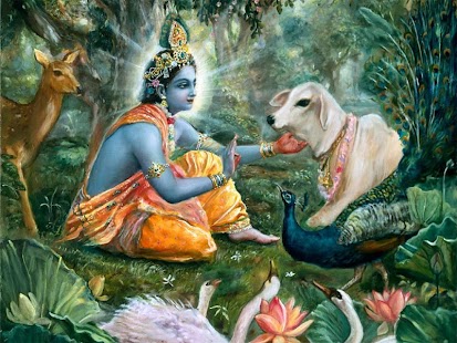 How to download Lord Krishna Photo Book patch 1.0 apk for pc