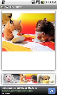How to install Cute Hamster 1.0 apk for laptop
