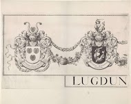 Bovenkant van de rand van de Grote Hagen (linkerblad)