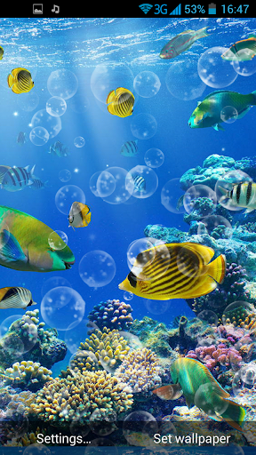 免費下載個人化APP|Underwater World LWP app開箱文|APP開箱王