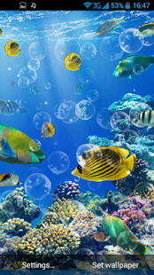 Podvodní svět Živá Tapeta - náhled