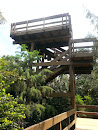 Daggerwind Nature Trail Lookout Tower