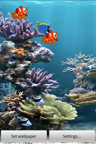 免費下載個人化APP|Live Wallpaper Aquarium app開箱文|APP開箱王