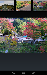 Autumn leaves of Kamakura Screenshots 5