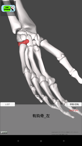 免費下載醫療APP|和鍼灸院式解剖学（骨格）　3D app開箱文|APP開箱王
