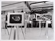 Liliana Caro exposeert in het WTC