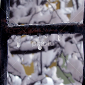 Freeze before dropping  by Suaib Akhter - Abstract Water Drops & Splashes