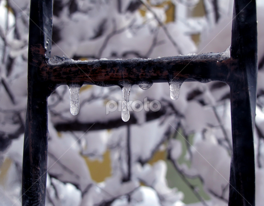 Freeze before dropping  by Suaib Akhter - Abstract Water Drops & Splashes