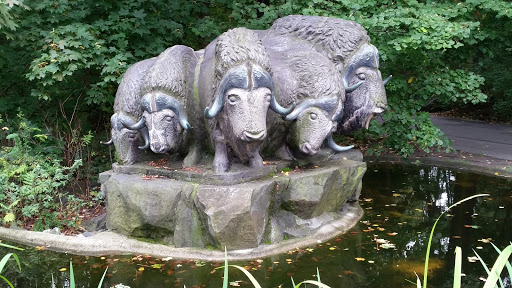 Die fünf Büffel
