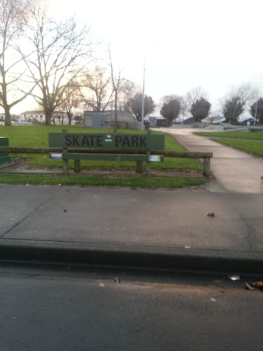 Palmerston North Skate Park 