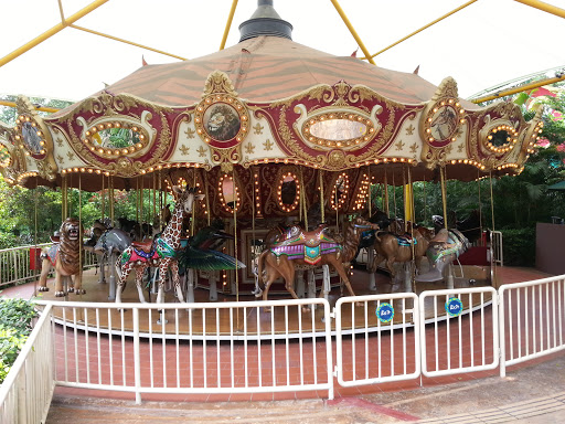 Wild Animal Carousel Singapore Zoo