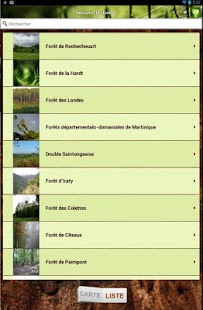 Bois Forêt Screenshots 3