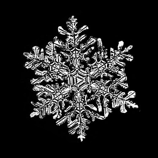 Snowflake Expert LOGO-APP點子