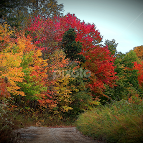 Kay Jay Mountain  by Paul Mays - Landscapes Mountains & Hills