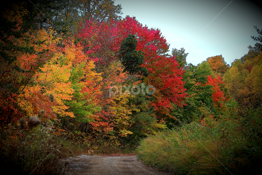 Kay Jay Mountain  by Paul Mays - Landscapes Mountains & Hills