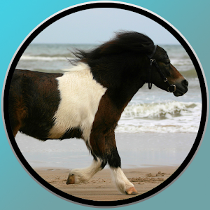 pony feast for kids.apk 1.0.0