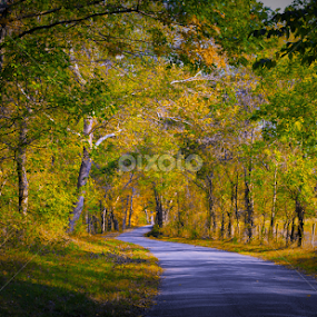 by Barak Johnson - Landscapes Travel