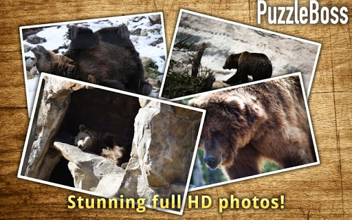 【免費休閒App】Grizzly Bear Jigsaw Puzzles-APP點子