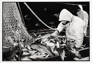 HD57 Elvira. 's Nachts op zee voor de kust van Noord-Holland