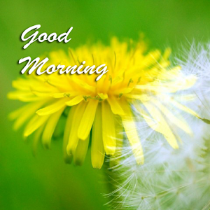 Best Good Morning Images 1.03