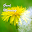Best Good Morning Images Download on Windows