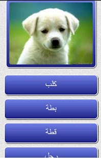 Download KG ARABIC WORDS APK for PC